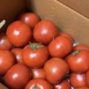 농라 봉이네 유럽종 완숙 토마토 구매후기