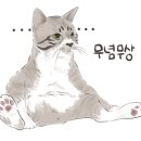 모아수선 이미지