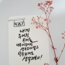 캘리와 함께 이미지