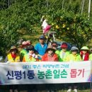 신평1동-15 이미지