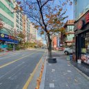 더 함월 이미지