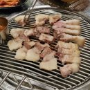 열정돼지 이미지