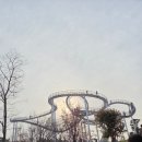 김창영 | [국내] 3월말~4월초 포항 벚꽃명소(비추 후기)ㅣ포항맛집, 포항카페 추천ㅣ환호공원, 스페이스워크...