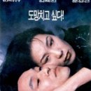 초록물고기 - 창녕군 문화길 18 | 초록물고기