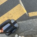 서유펫 - 금천구 시흥대로62길 62 | 내 첫 일벙여행을 끄적여보겠다 ! ✏️__