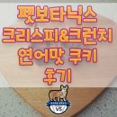 펫보타닉스 크리스피 &amp; 크런치 연어 쿠키 후기