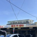 돼지카센터