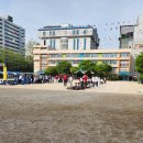 [2026 대곡초 운동회] 아빠들이 더 열광한 '한마음 체육대회' 현장 후기