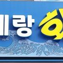 베테랑활어