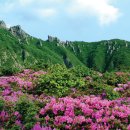 한라산 이미지