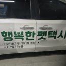 행복펫택시 이미지