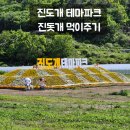 진도개테마파크 | 진도개 테마파크 진돗개 먹이주기 썰매장 무료체험