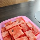 활수산 이미지