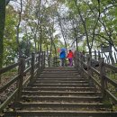 한반도면-1 티스토리