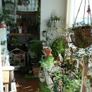 그린스토리 이미지