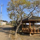 금호보건진료소 이미지