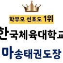 한국체대 마송태권도장 이미지