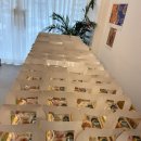 한밭대학교어린이집 | [대전 샌드위치도시락 단체주문 많은 곳 블레스밀!!] 국립 한밭대학교 280세트 단체주문 배달 후기!!