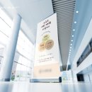 송송디자인