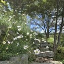 펜션 무이 이미지