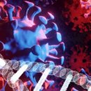 델타메드 이미지