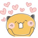 왕십리 고양이 위너펫 24시 이미지