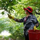 남가네 농장 이미지