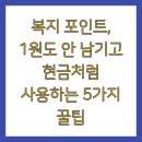 모아동동한의원 | 복지 포인트, 1원도 안 남기고 현금처럼 사용하는 5가지 꿀팁