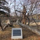 남사고유적지 이미지