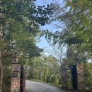 E1기장오렌지충전소 | 🎃부산 보몽드 할로윈 시즌 후기👻 | 감성카페, 할로윈 데코, 포토존까지 완벽했던 하루였어요!