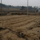 준기농장 이미지