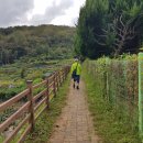 예곡농장 이미지