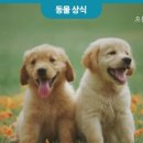 으뜸원동물병원 이미지