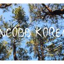 ​🚨 INCOBB KOREA NEWS 생산 업체 미팅 !! 🥇 이미지