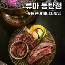 반송동112 | 동탄 반송동맛집 [류마 동탄점] :: 숯불 야끼니꾸 후기