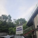 퍼피플리즈 | 양주시 애견유치원 퍼피플리즈 후기