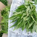 그린DC마트 이미지