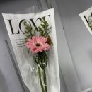 민지네꽃집 | 24시 병점꽃집 추천, 꽃블리 병점진안동점에서 반려식물 데려온 후기