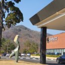 여우와 포도 | 김천 포도CC 명품 27홀 코스 5월특가 1박 2일 경북 골프 패키지