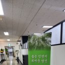 솔향상조