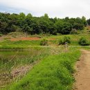 양평-용문-용문-4 이미지