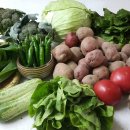 조계환농장 이미지