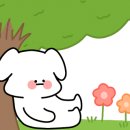 팡팡야자 키즈풀빌라 이미지