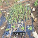 문경집