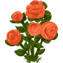 RoseDay 이미지