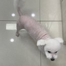 백슬동물병원 이미지