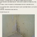 입주시 탄성코팅과 대리석 코팅을 많이들 하시나요? 이미지