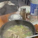 청년감동 정육식당 이미지