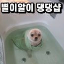 숭의역 3번 출구 | 숭의역 애견미용 후 강아지와 함께 즐기는 추천 활동