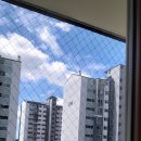 배울1로 이미지